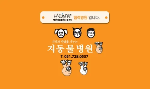 지동물병원 대표 이미지