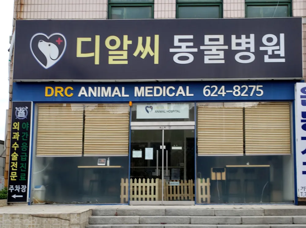 디알씨동물병원 대표 이미지