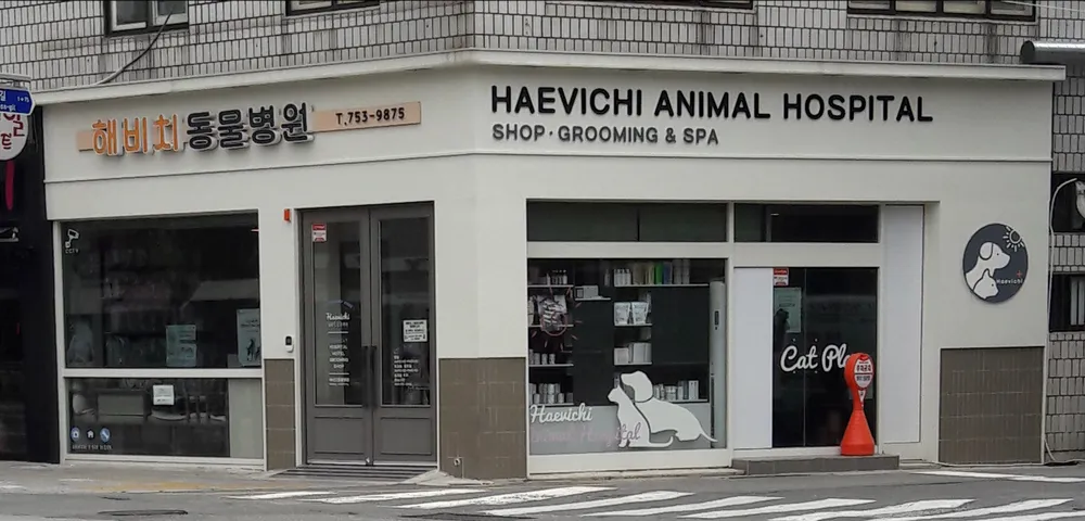 해비치동물병원 대표 이미지