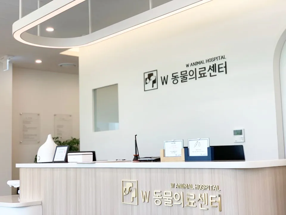 W동물의료센터 대표 이미지
