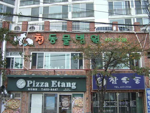 천동물병원 대표 이미지