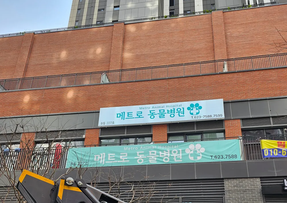 메트로동물병원 대표 이미지