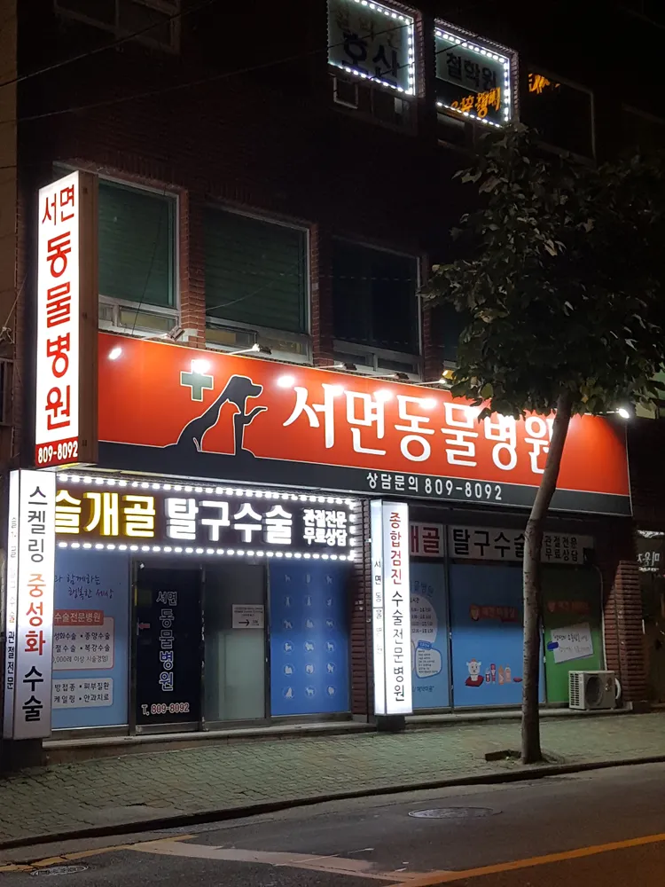서면동물병원 대표 이미지