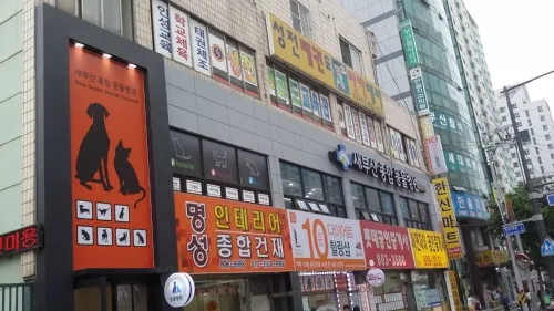 새부산동물병원 대표 이미지