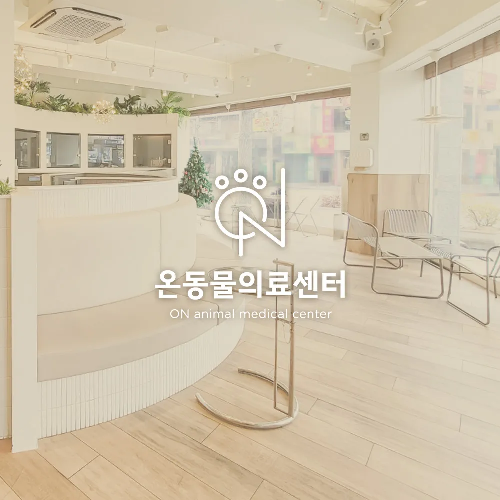 24시 온동물의료센터 대표 이미지