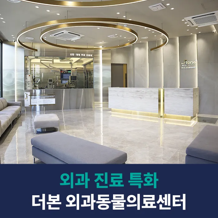 더본외과동물의료센터 대표 이미지