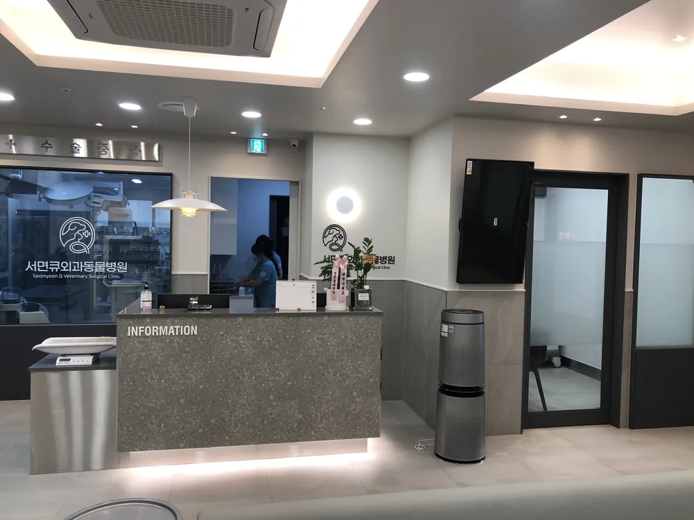 서면큐외과동물병원 대표 이미지