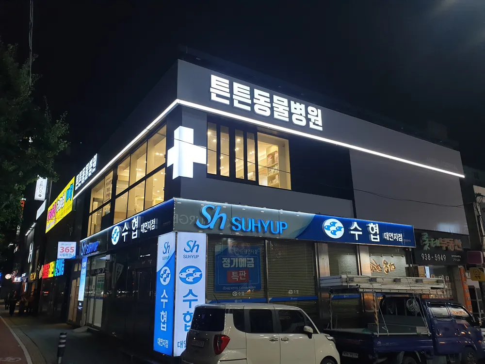튼튼동물병원 대표 이미지
