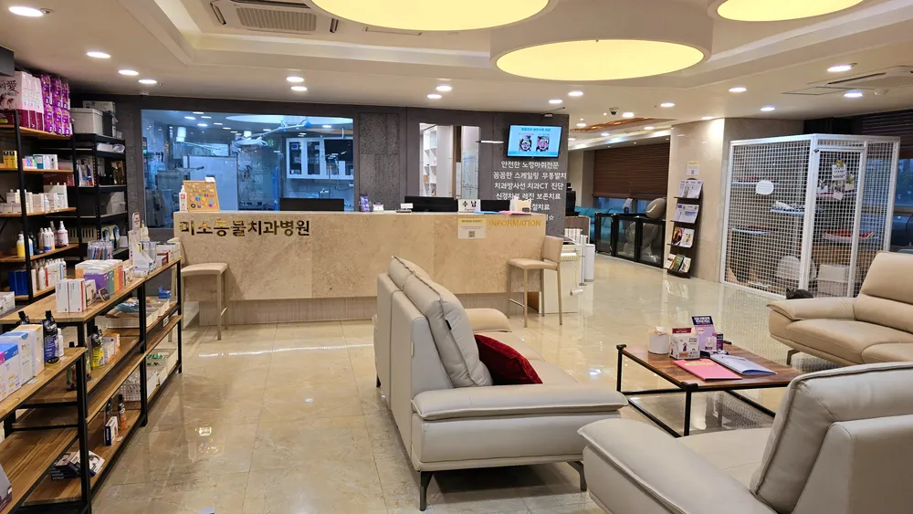 미소동물치과병원 대표 이미지
