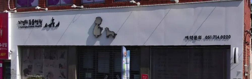 지경희동물병원 대표 이미지