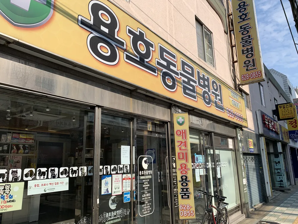 용호동물병원 대표 이미지