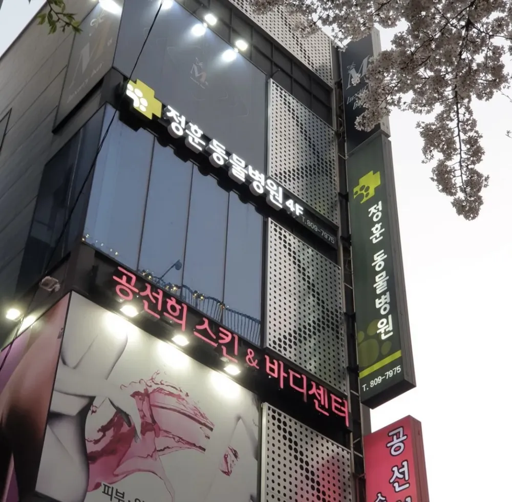 정훈동물병원 대표 이미지