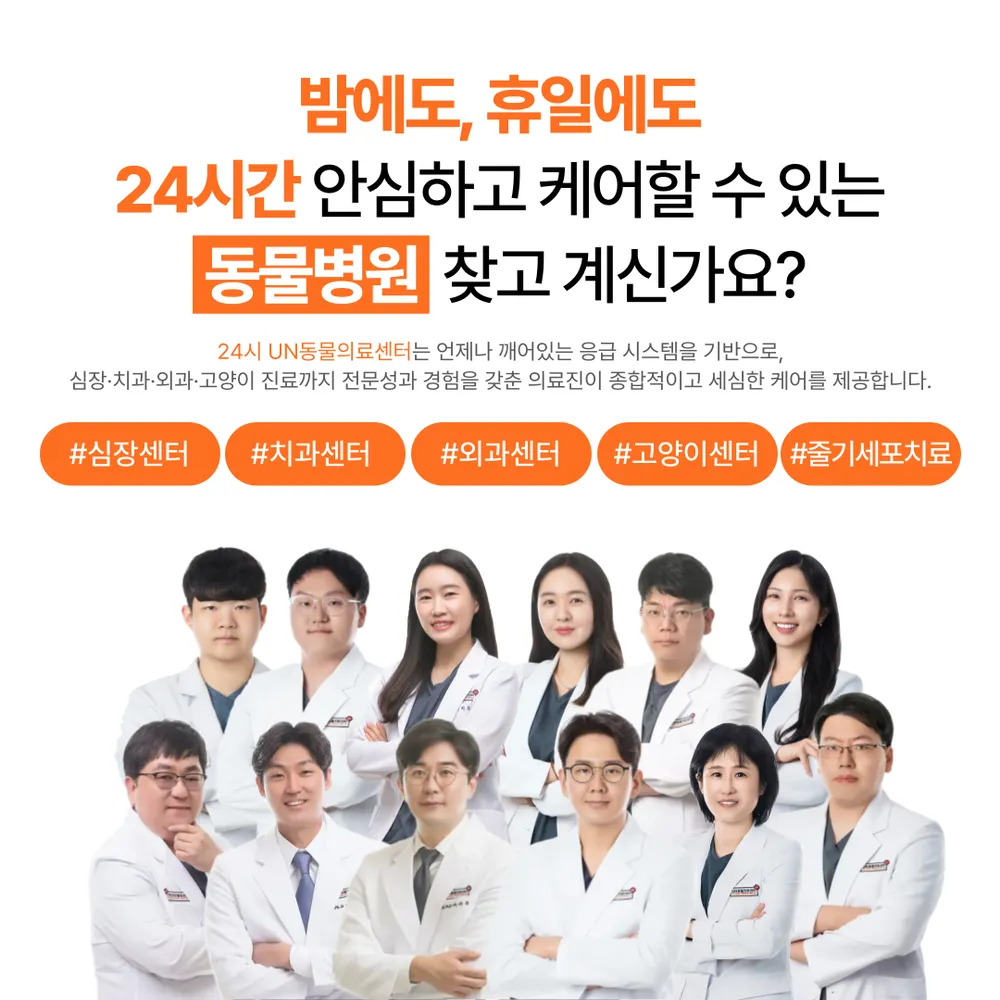 부산 24시 UN동물의료센터 대표 이미지