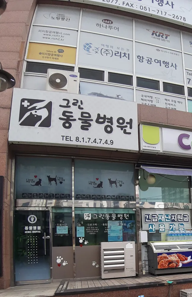 그린동물병원 대표 이미지