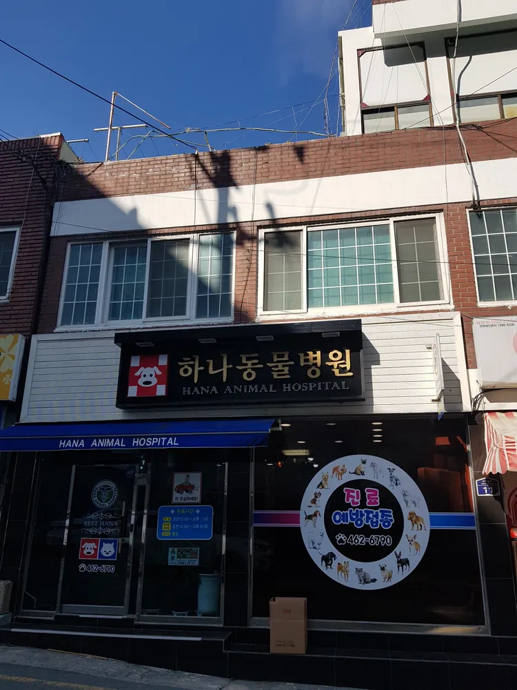 하나동물병원 대표 이미지