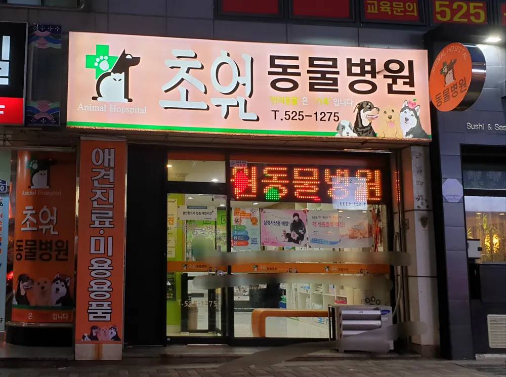 초원동물병원 대표 이미지