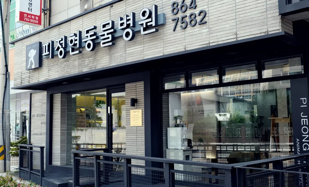 피정현동물병원 대표 이미지