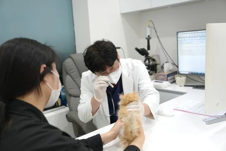 아이디펫동물병원 대표 이미지