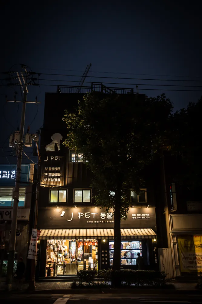 제이펫동물병원 대표 이미지