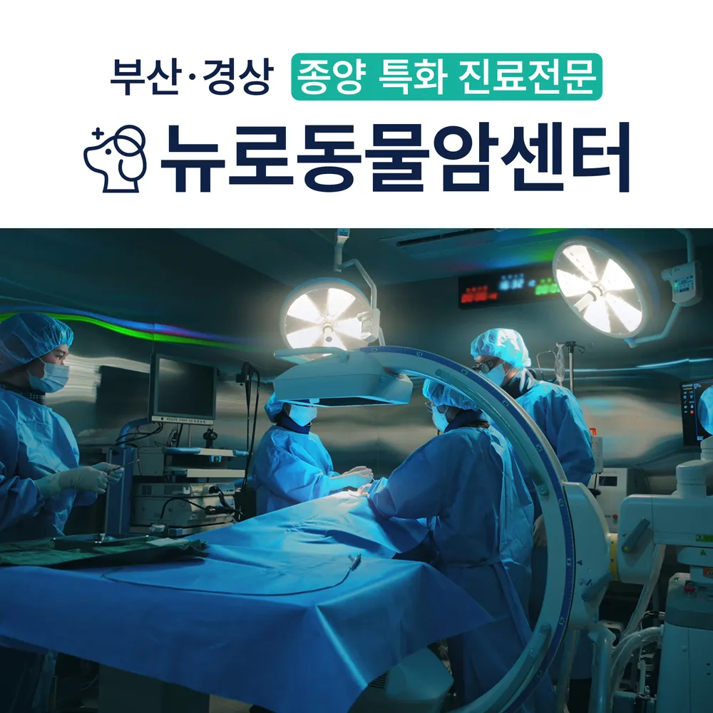 뉴로동물암센터 대표 이미지