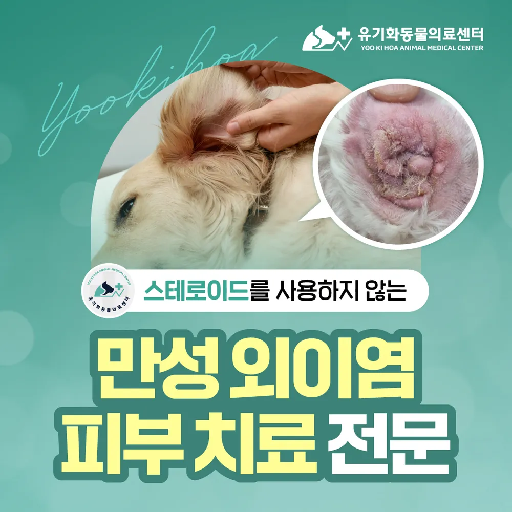 유기화동물의료센터 대표 이미지