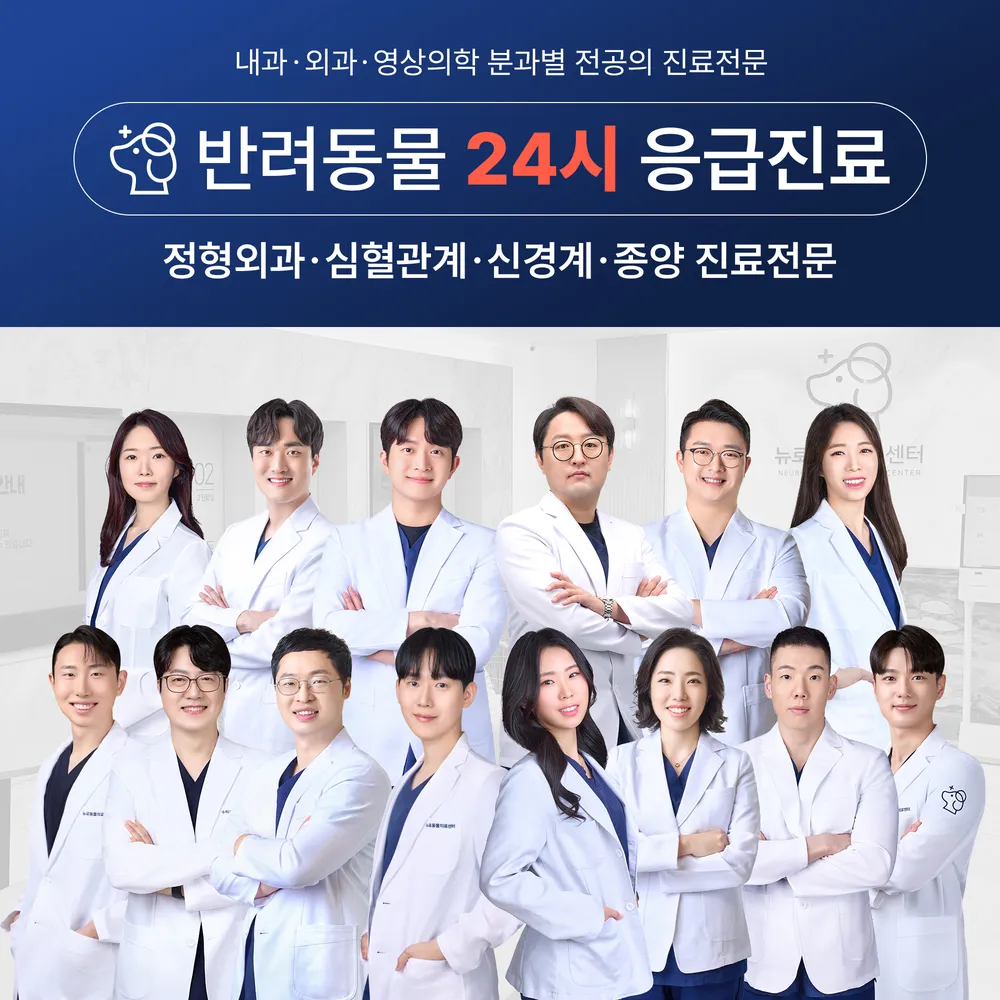 뉴로동물의료센터24시 대표 이미지