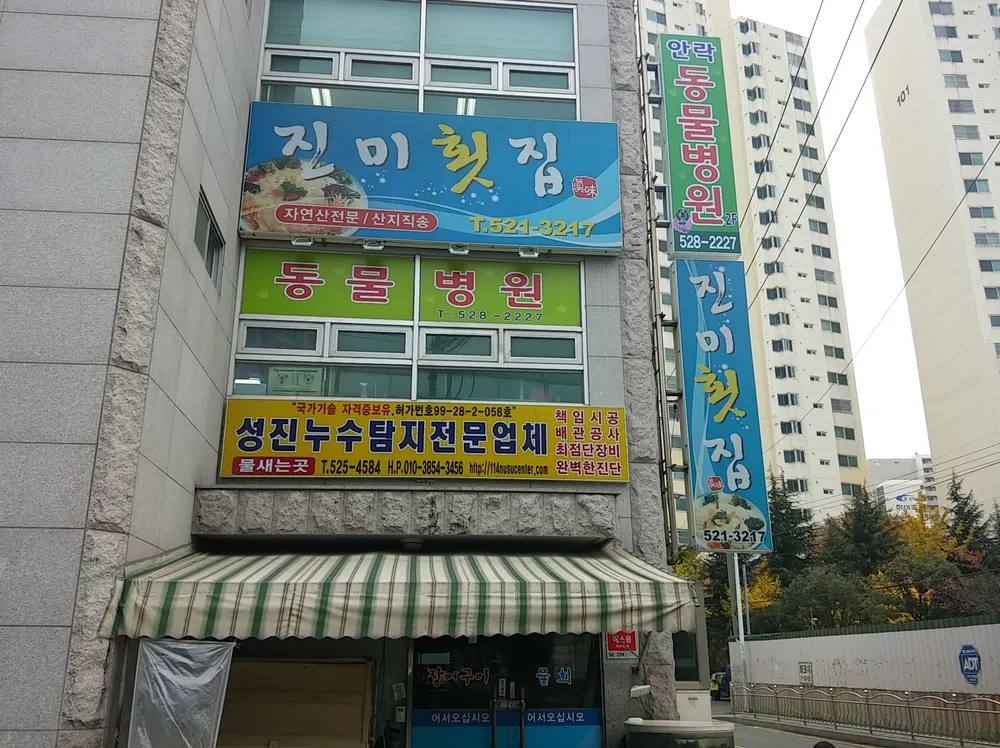 안락동물병원 대표 이미지