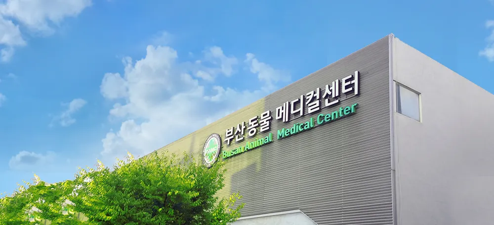 부산동물메디컬센터 대표 이미지