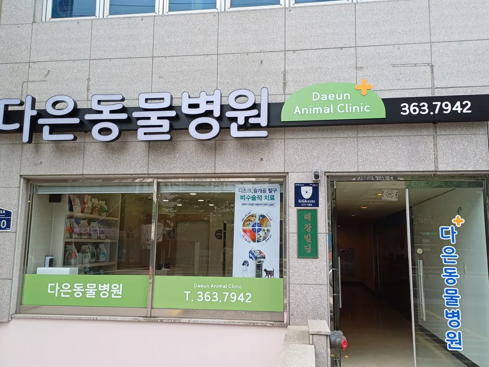 다은동물병원 대표 이미지