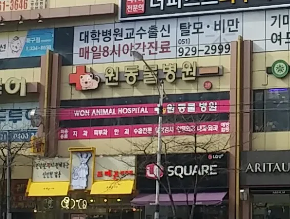 원동물병원 대표 이미지