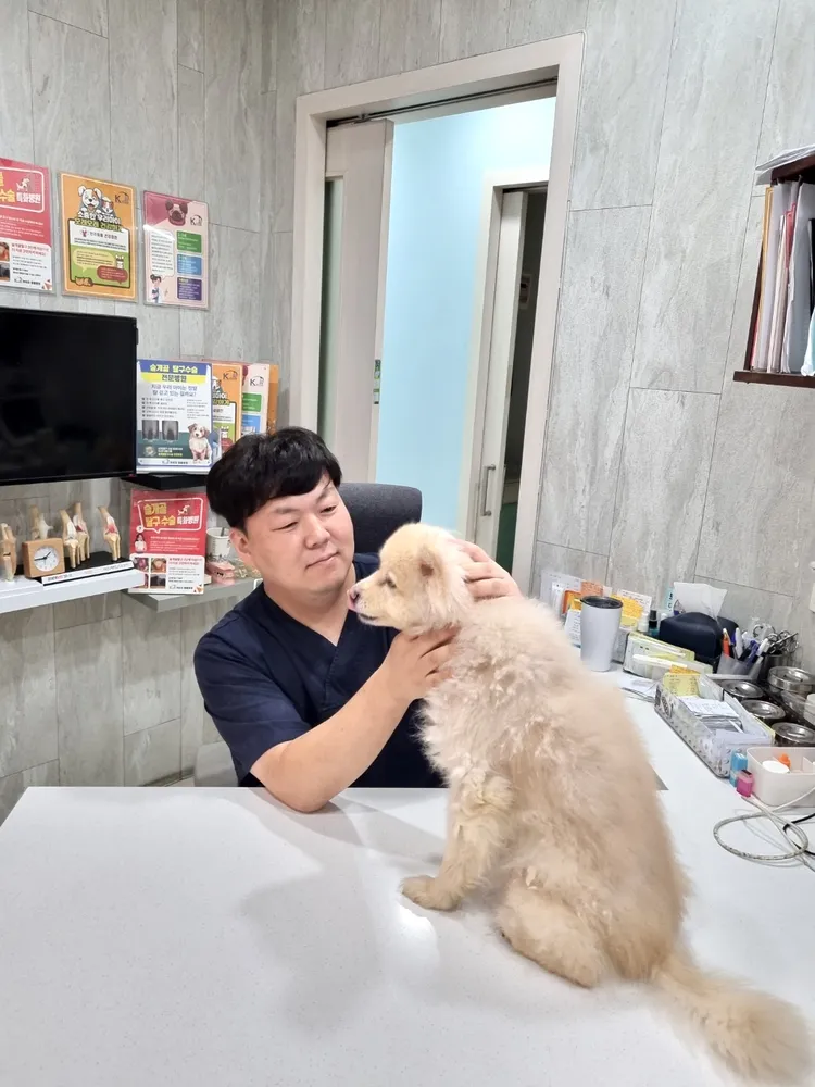 카이저동물병원 대표 이미지