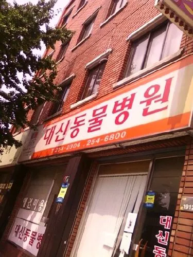 대신동물병원 대표 이미지