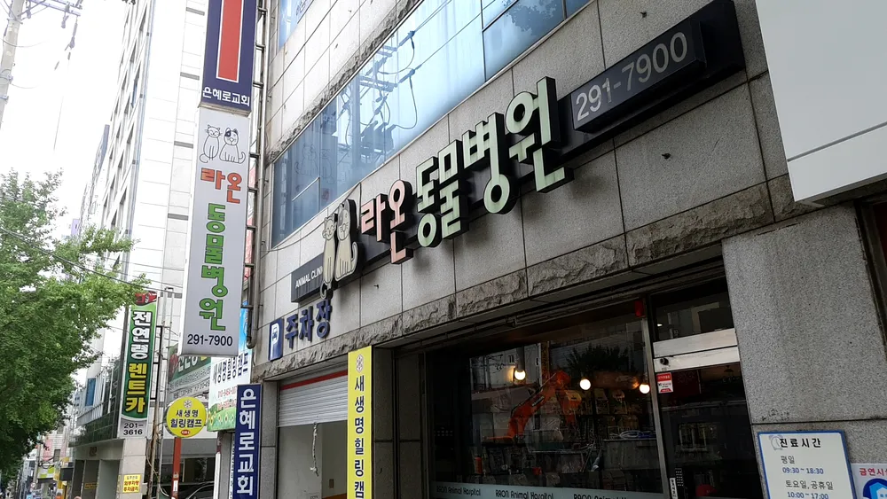 라온동물병원 대표 이미지