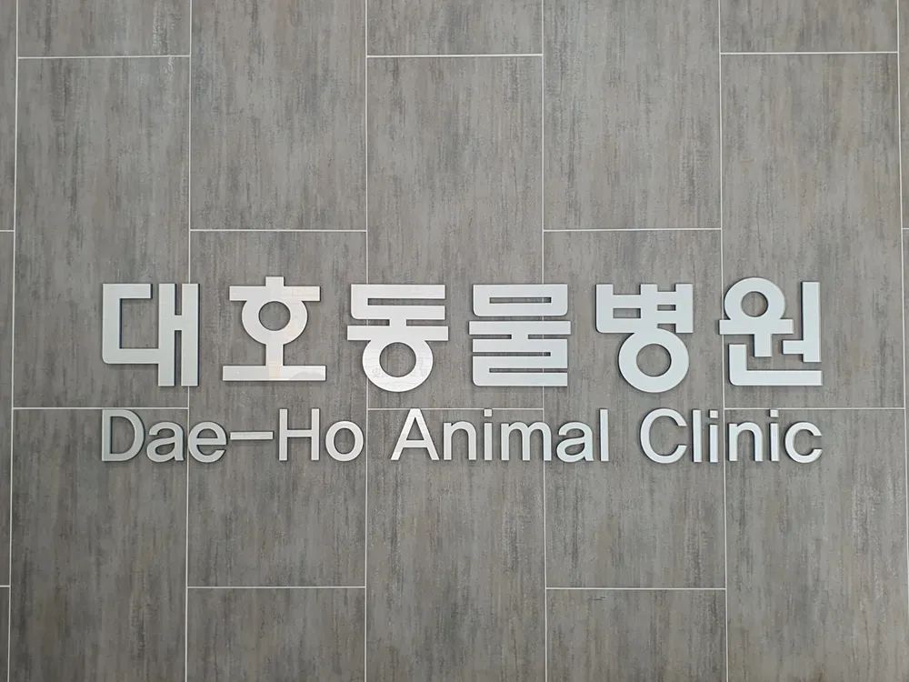 대호동물병원 대표 이미지