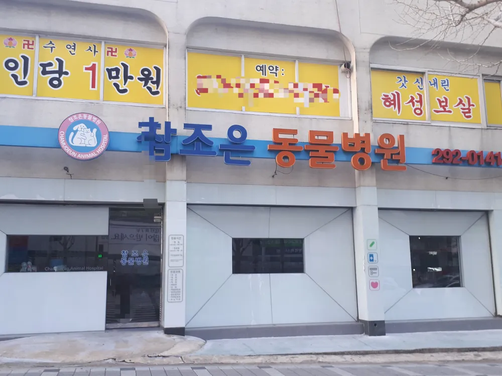 참조은동물병원 대표 이미지