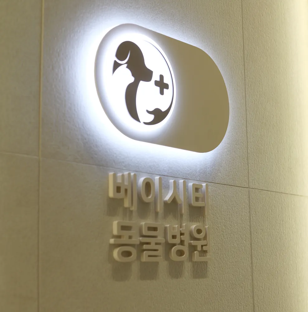 베이시티동물병원 대표 이미지