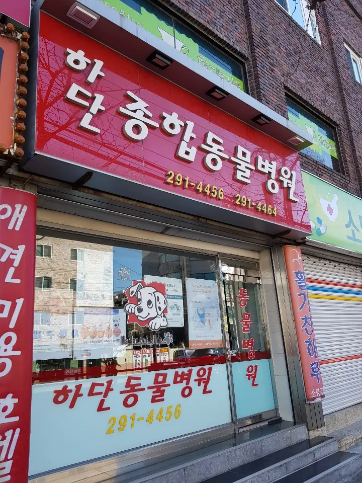 하단동물병원 대표 이미지