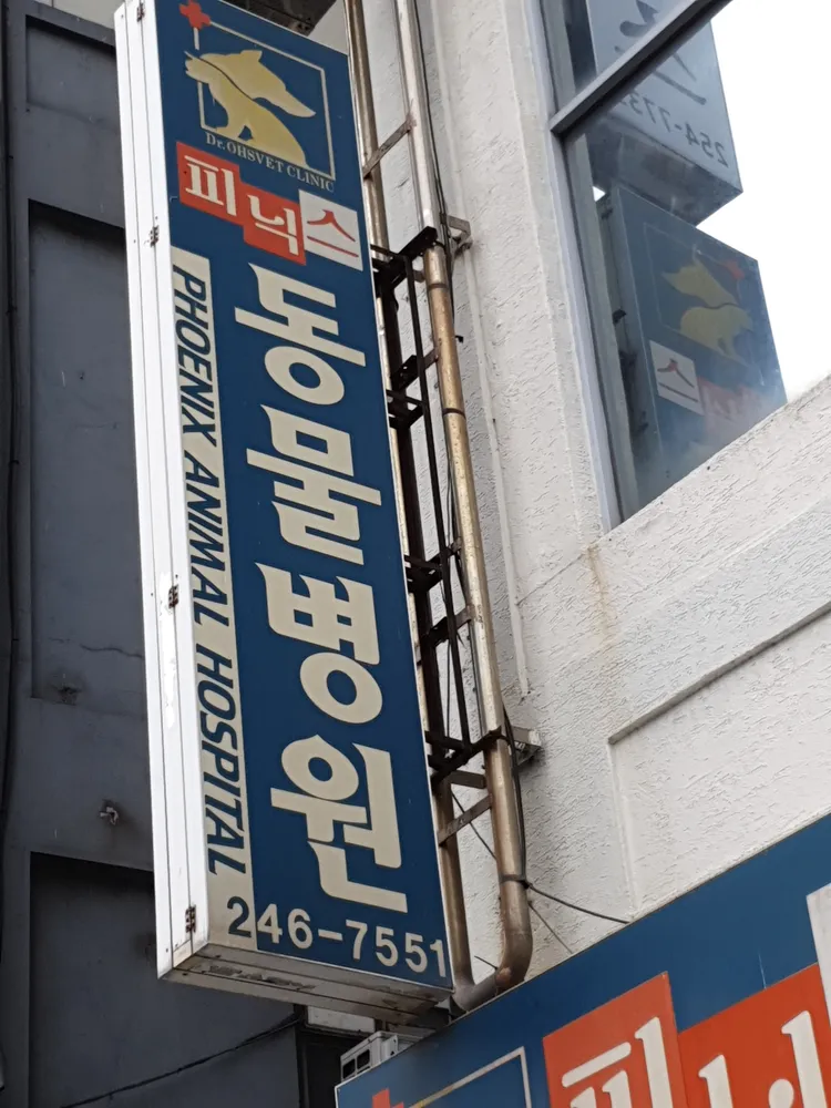 피닉스동물병원 대표 이미지