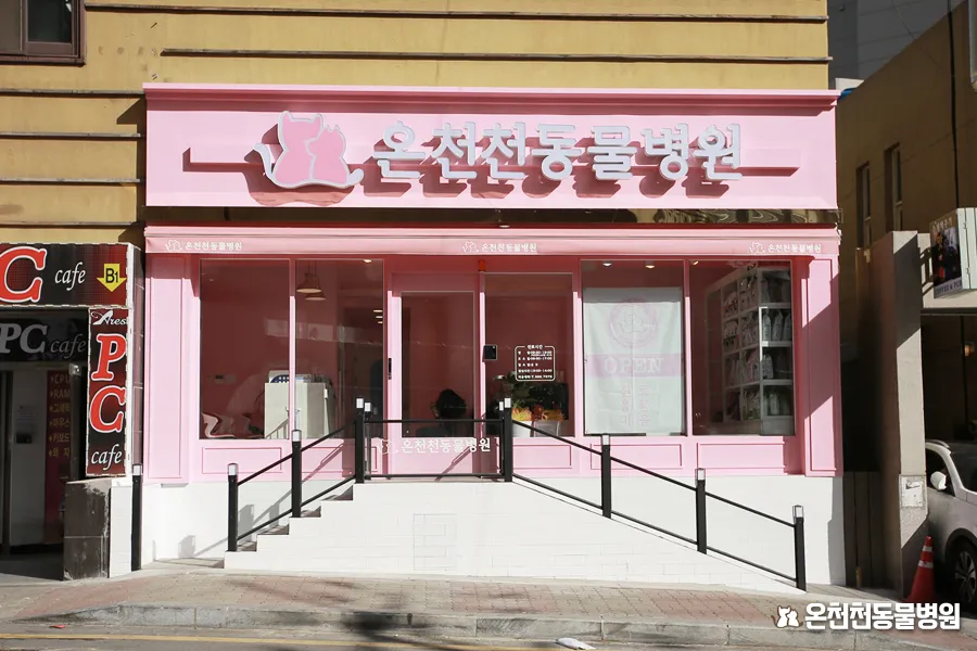 온천천동물병원 대표 이미지