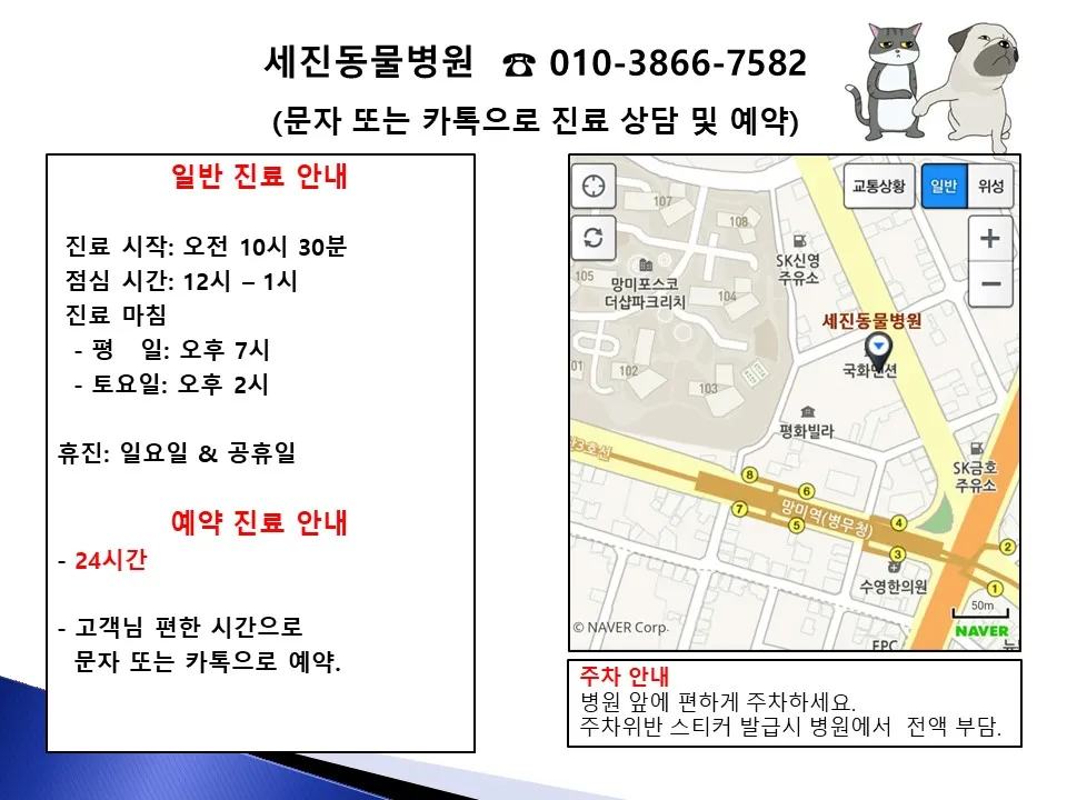 세진동물병원 대표 이미지