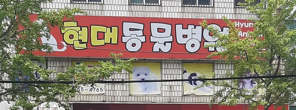 현대동물병원 대표 이미지