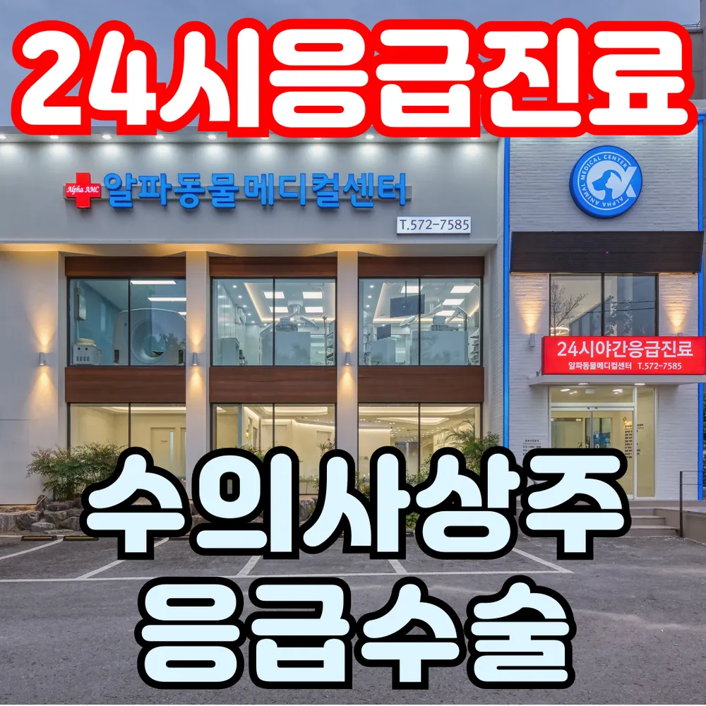24시알파동물메디컬센터 대표 이미지
