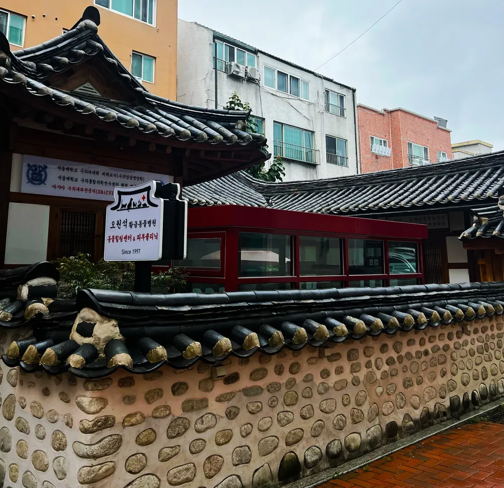 오원석황금동물병원 대표 이미지