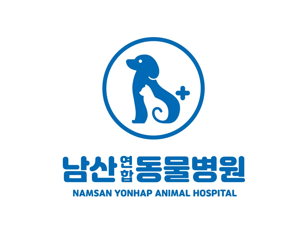 남산연합동물병원 대표 이미지
