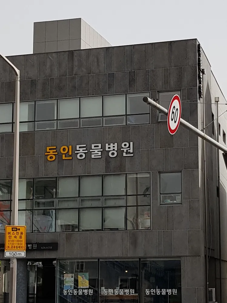 동인동물병원 대표 이미지