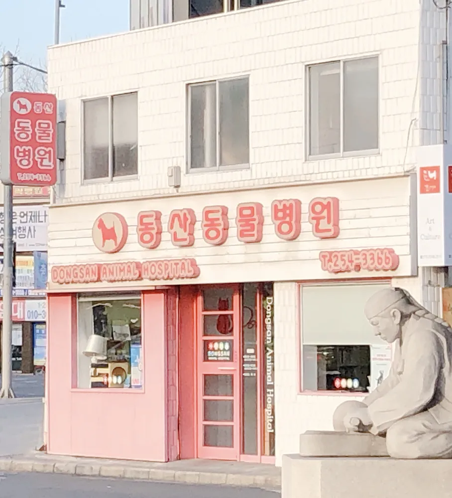 동산동물병원 대표 이미지
