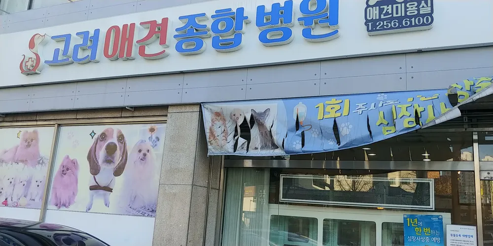 고려동물병원 대표 이미지