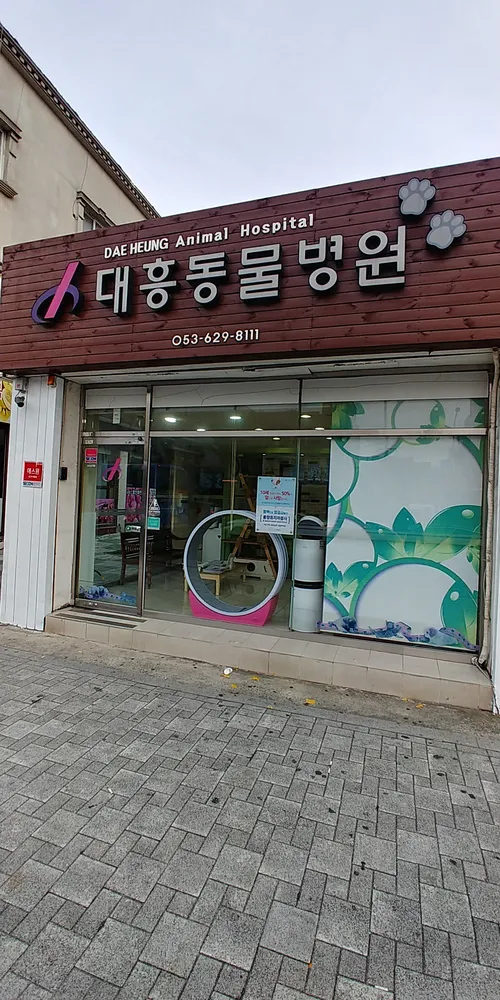 대흥동물병원 대표 이미지