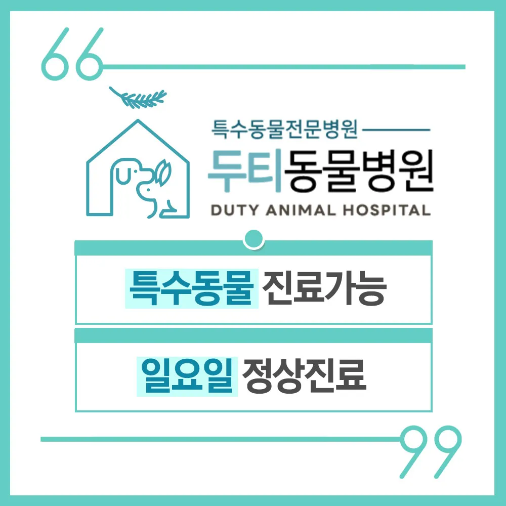 두티동물병원 대표 이미지