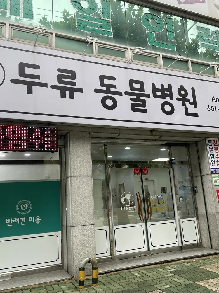 두류동물병원 대표 이미지